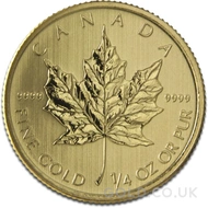 Gold Quarter Maple Best Value